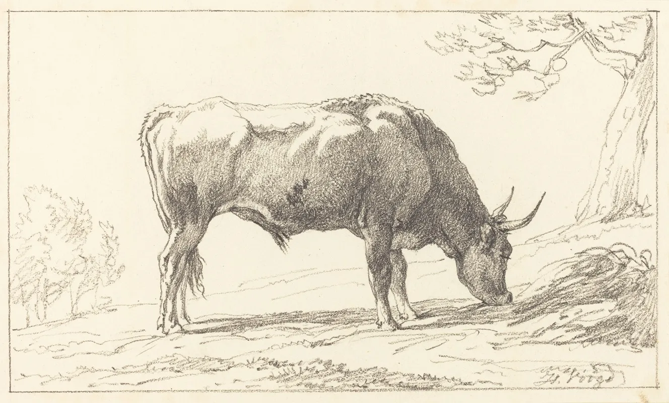 A Young Bull Grazing Wall Art by Hendrik Voogd - High-Resolution Digital Print