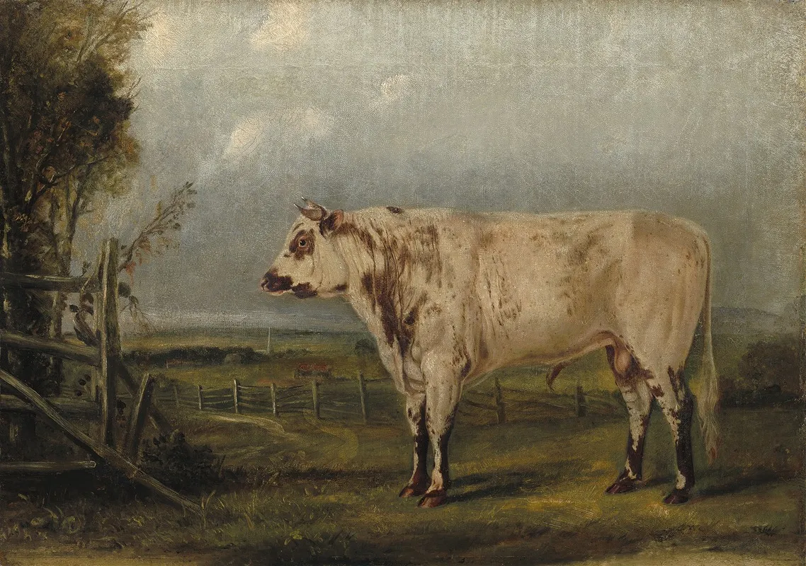A Young Bull Wall Art by John Woodhouse Audubon - High-Resolution Digital Print