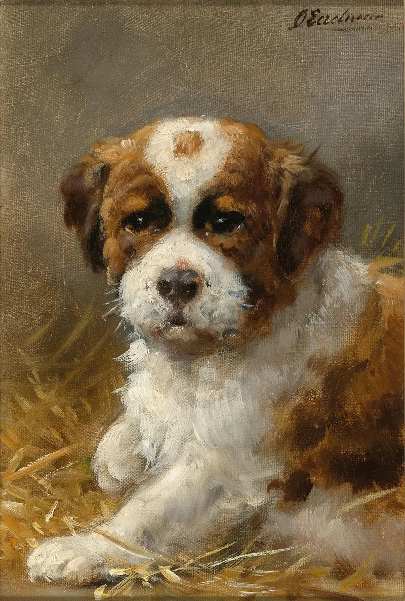 A Young St Bernard Wall Art by Otto Eerelman - High-Resolution Digital Print