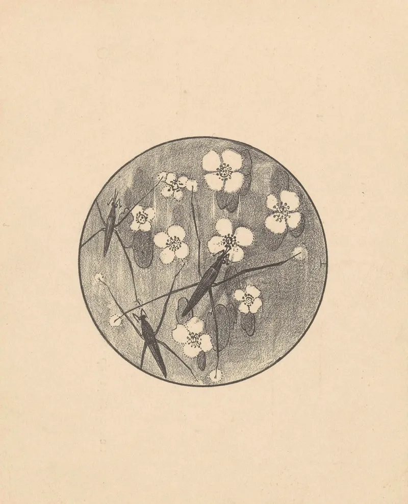 Aankondiging Met Insecten En Bloemen Voor Serie Dierstudies