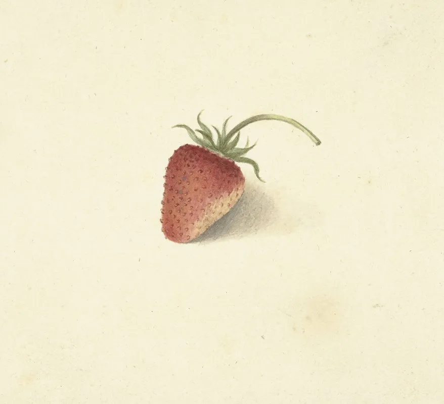 Aardbei Wall Art by Elisabeth Geertruida van de Kasteele - High-Resolution Digital Print