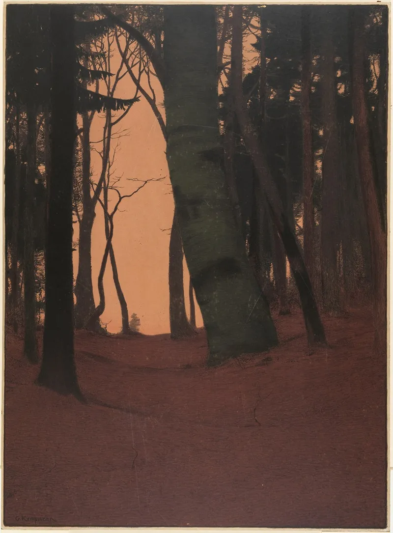 Abend Im Wald