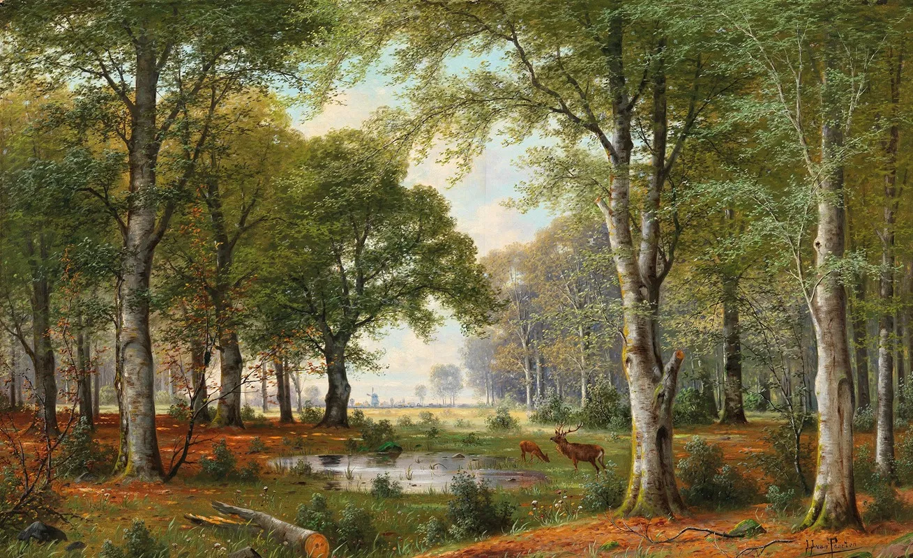 Abendliche Waldlandschaft