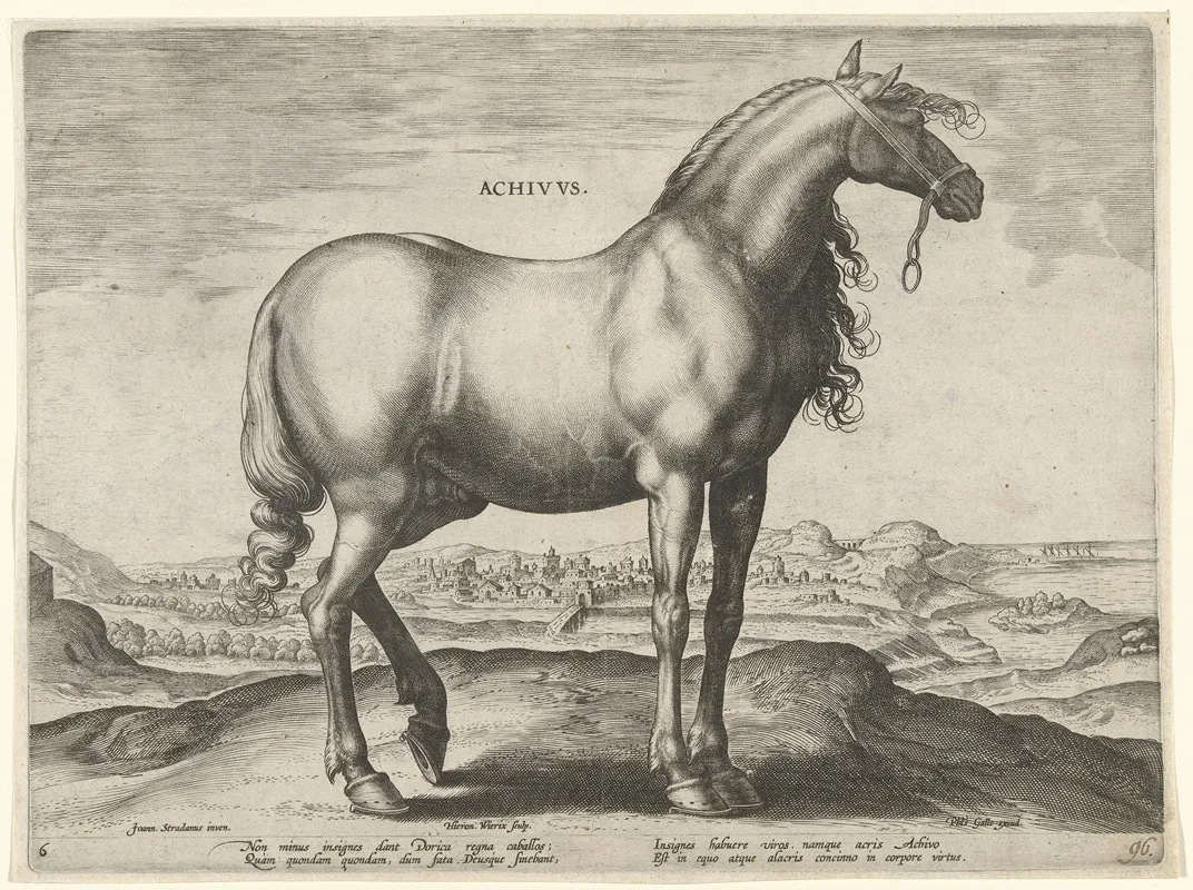 Achivus Wall Art by Jan Collaert the Elder - High-Resolution Digital Print