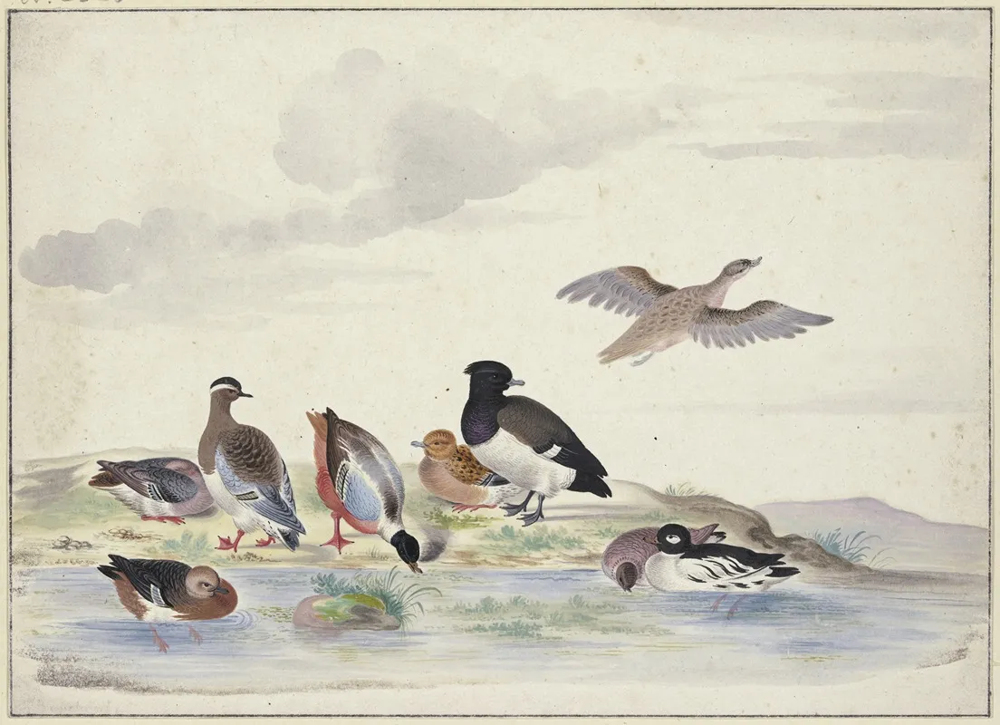 Acht Enten Verschiedener Art Am Wasser Wall Art by Pieter Holsteijn - High-Resolution Digital Print