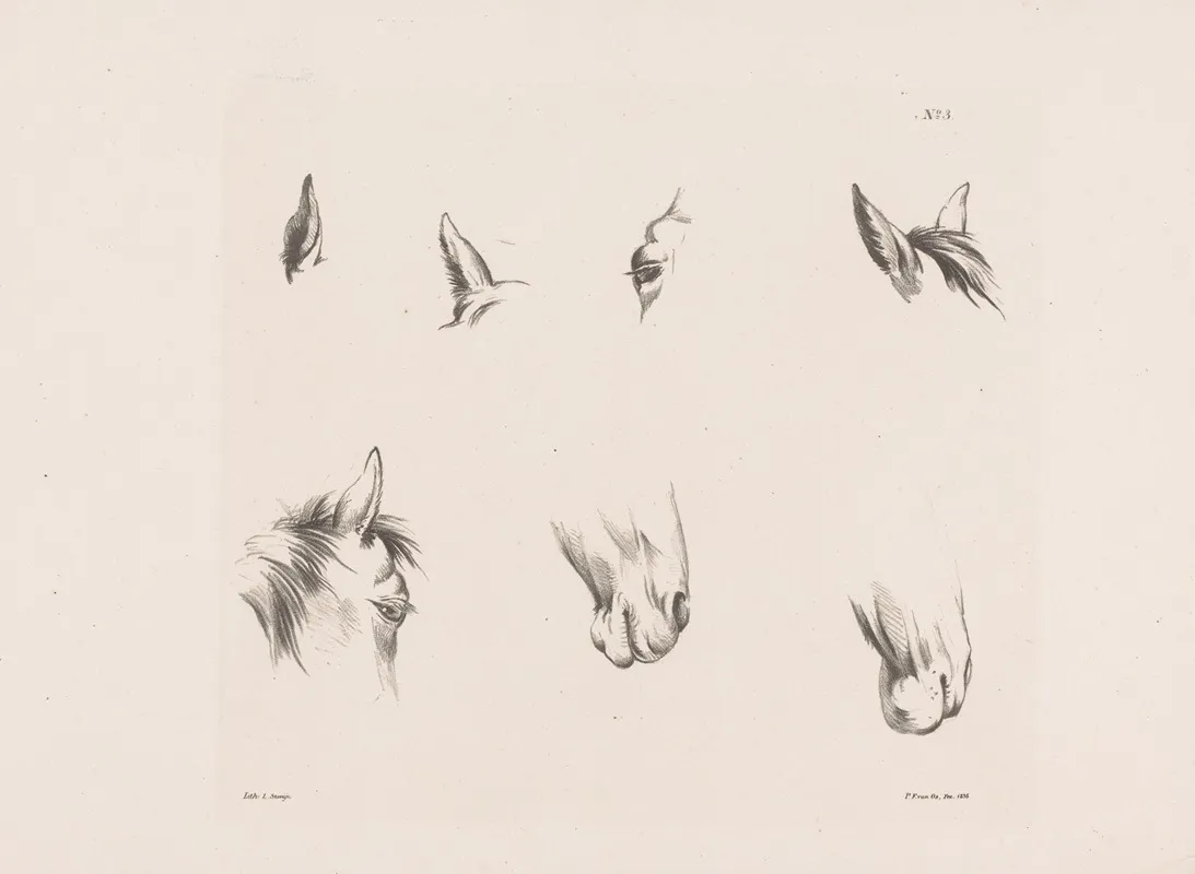 Acht Studies Van Een Paardenhoofd Wall Art by Pieter Frederik van Os - High-Resolution Digital Print