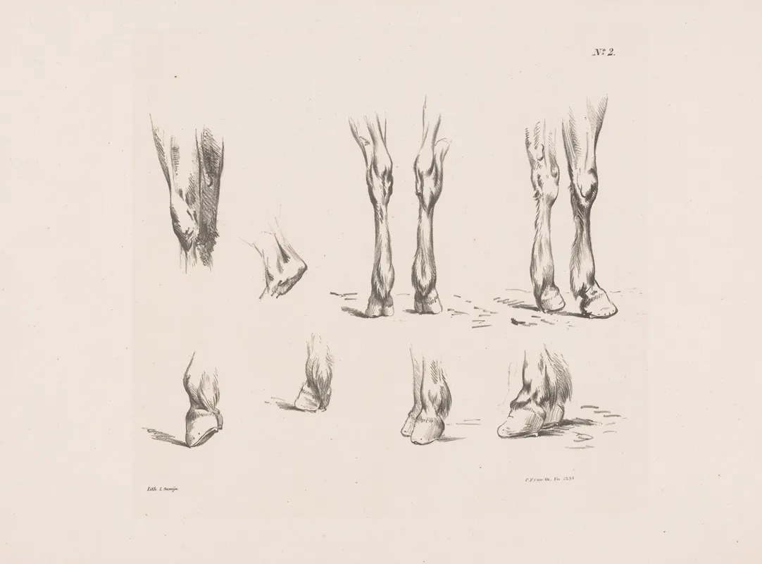 Acht Studies Van Paardenbenen En Hoeven Wall Art by Pieter Frederik van Os - High-Resolution Digital Print