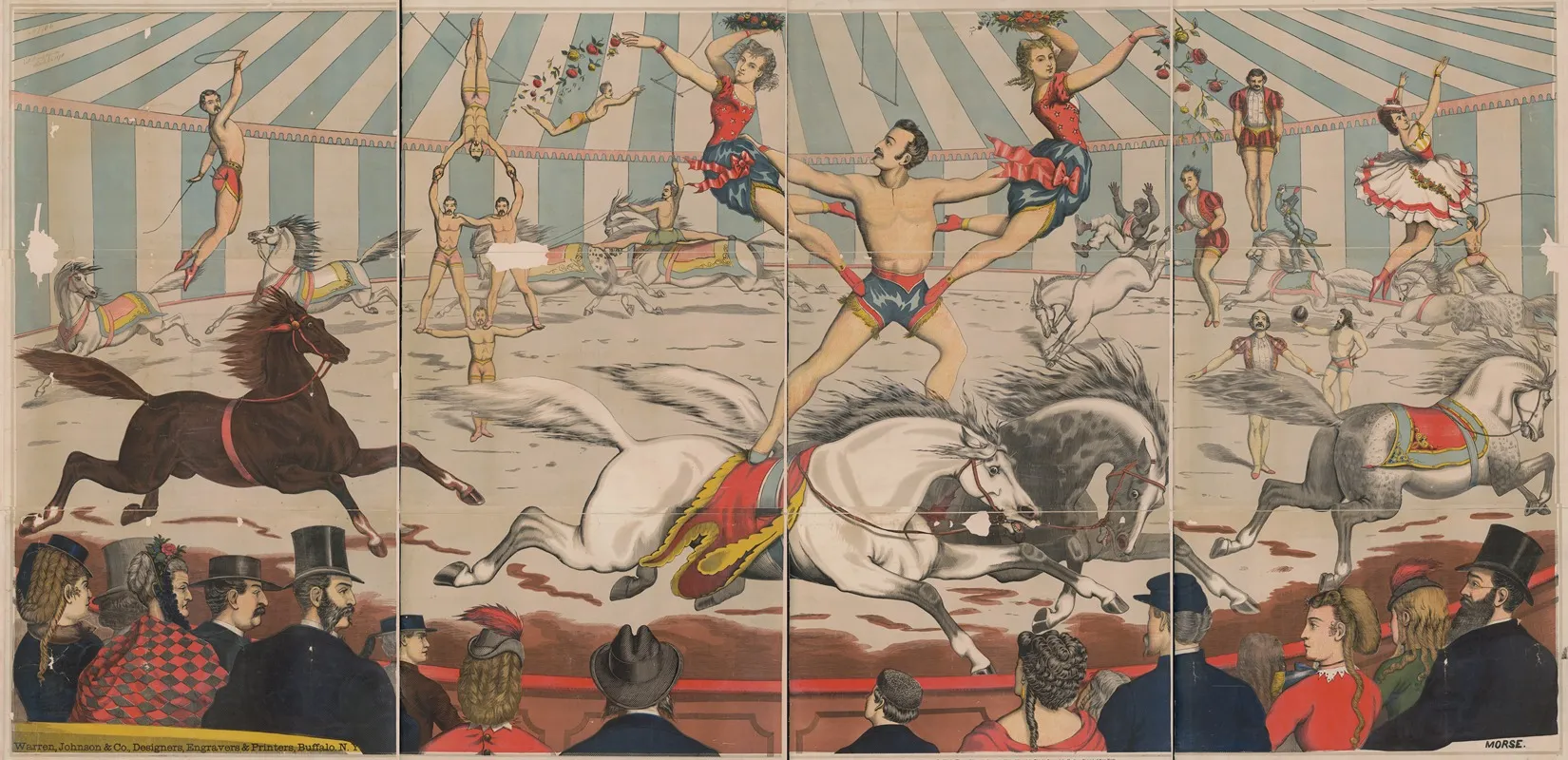 Acrobats On Horseback 4 Wall Art by Warren, Johnson &amp; Co. - High-Resolution Digital Print
