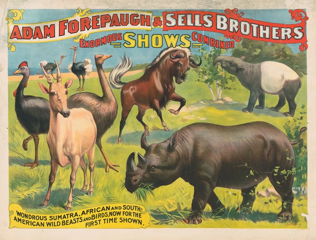 Adam Forepaugh Sells Brothers Enormous Shows Combined Wondrous Sumatra African And South American Wild Beasts And Birds