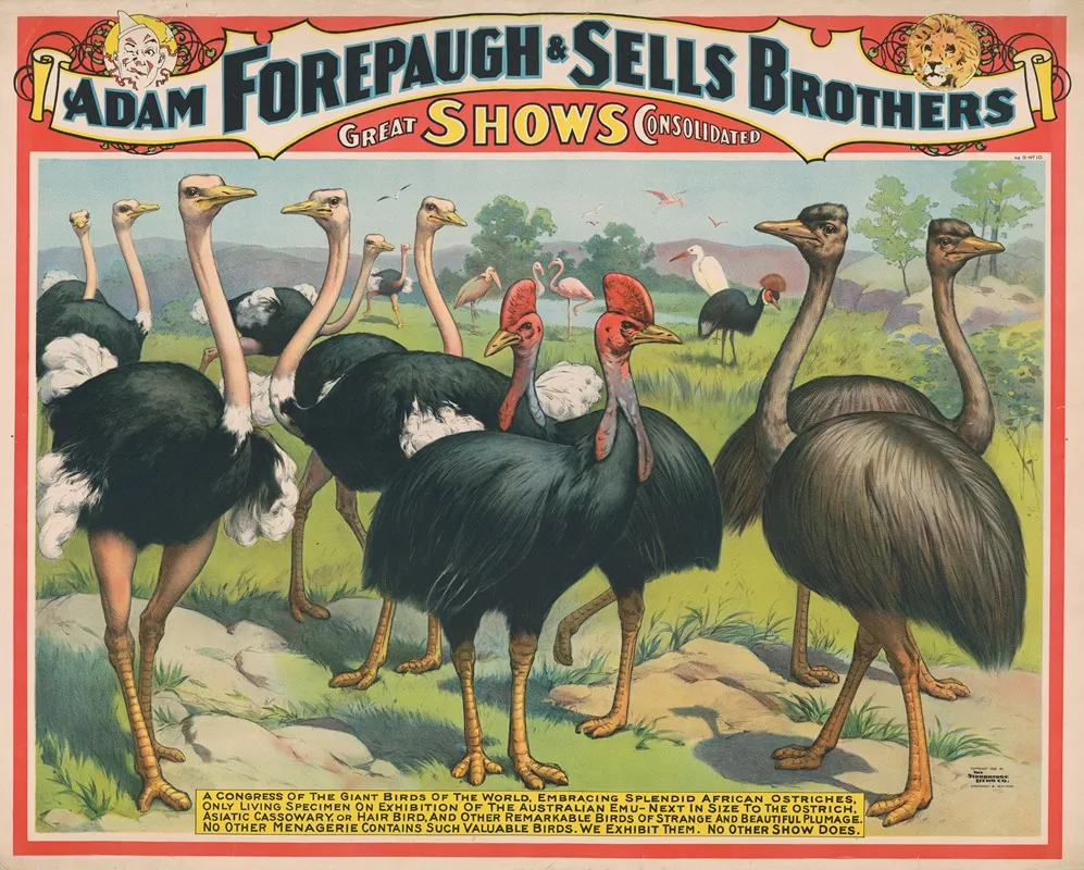 Adam Forepaugh Sells Brothers Great Shows Consolidated A Congress Of The Giant Birds Of The World