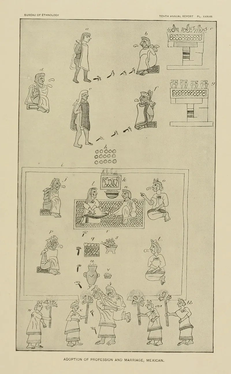 Adoption Of Profession And Marriage Mexican Wall Art by Garrick Mallery - High-Resolution Digital Print