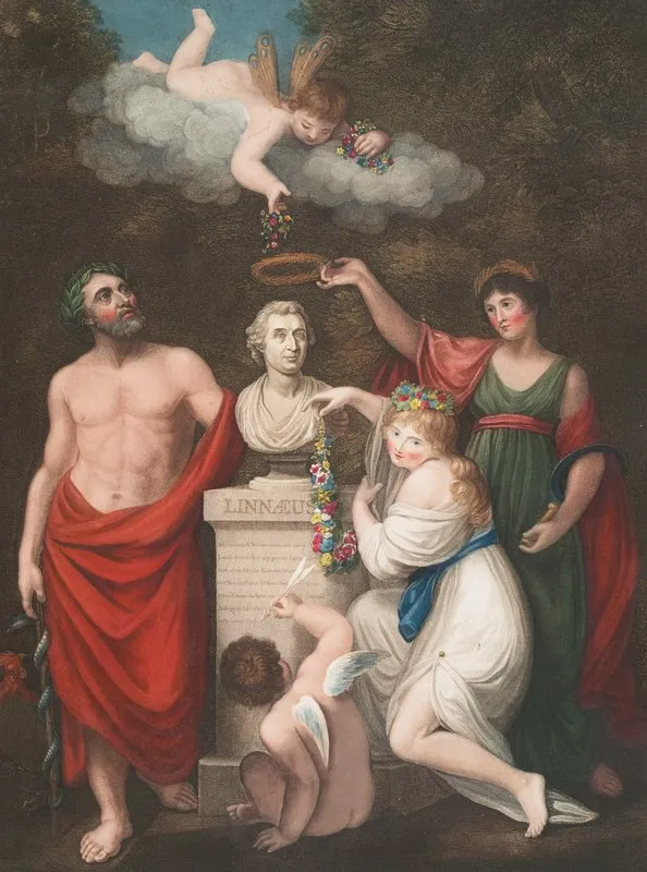 Aesculapius Ceres And Cupid Honouring The Bust Of Linnaeus Wall Art by Robert John Thornton - High-Resolution Digital Print