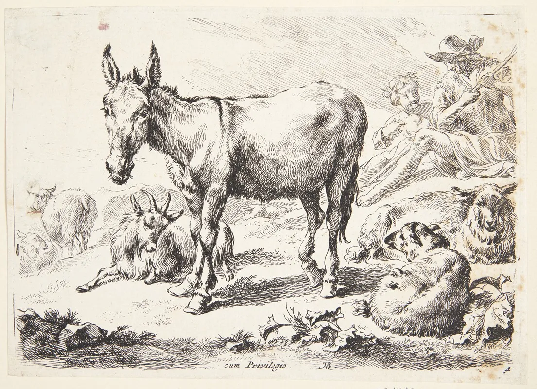Aesel Og Geder