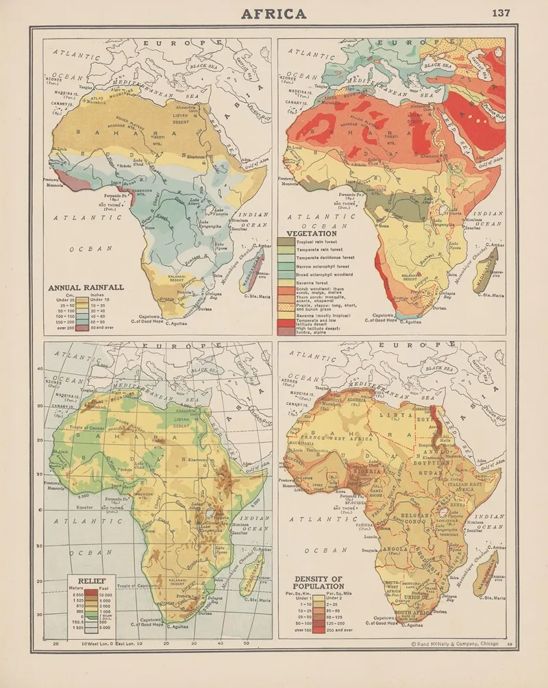 Africa Annual Rainfall Vegetation Land Relief Density Of Population Wall Art by John Paul Goode - High-Resolution Digital Print