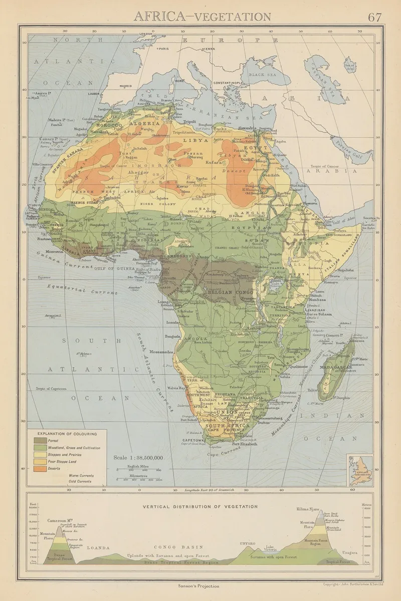 Africa Vegetation Wall Art by John George Bartholomew - High-Resolution Digital Print