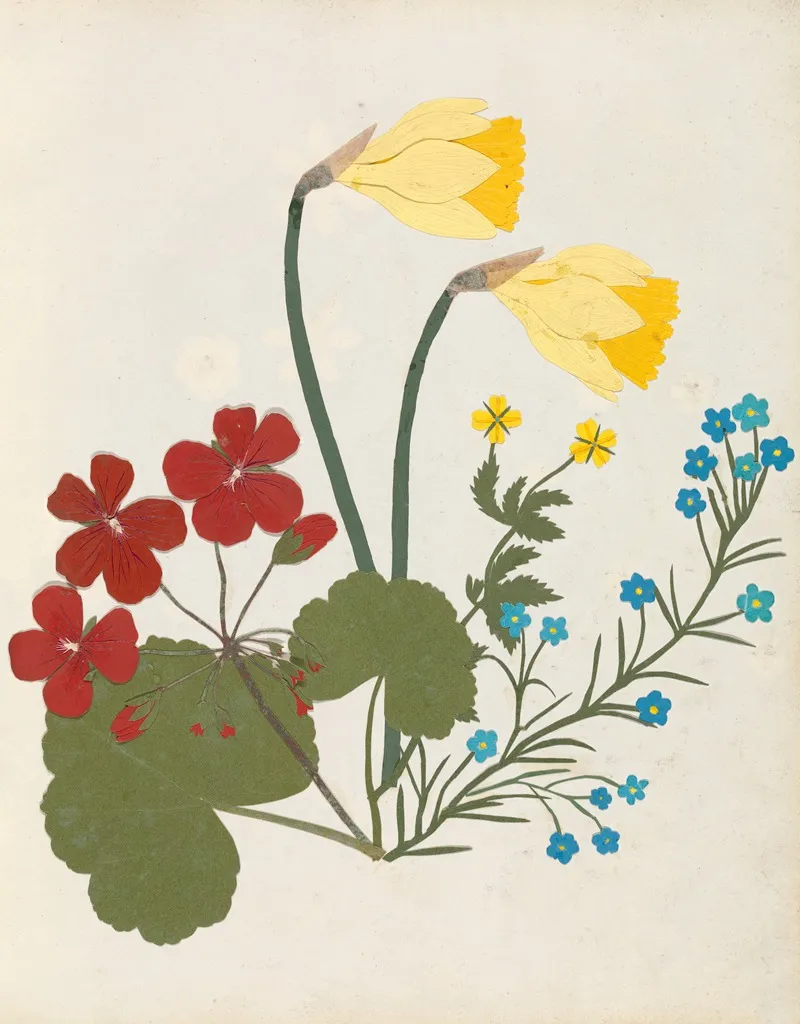 Album Of Cut Paper Flowers Pl 05 Wall Art by Ellen W. - High-Resolution Digital Print