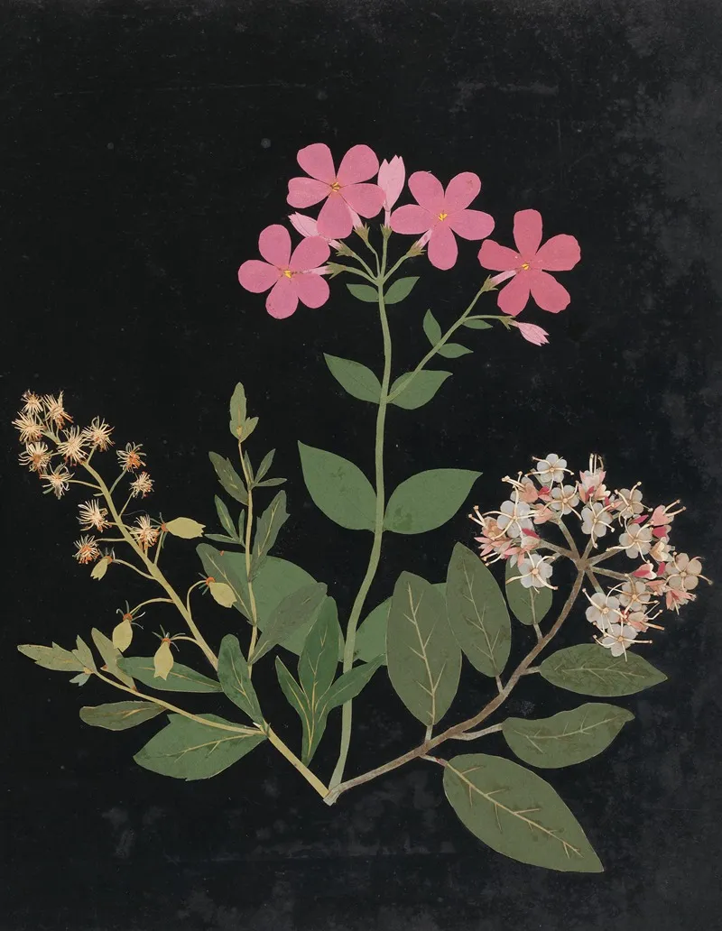 Album Of Cut Paper Flowers Pl 07 Wall Art by Ellen W. - High-Resolution Digital Print