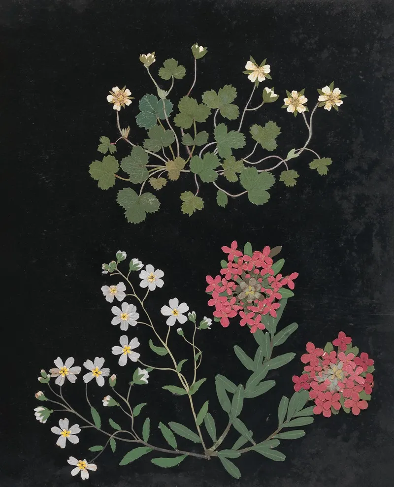 Album Of Cut Paper Flowers Pl 15 Wall Art by Ellen W. - High-Resolution Digital Print