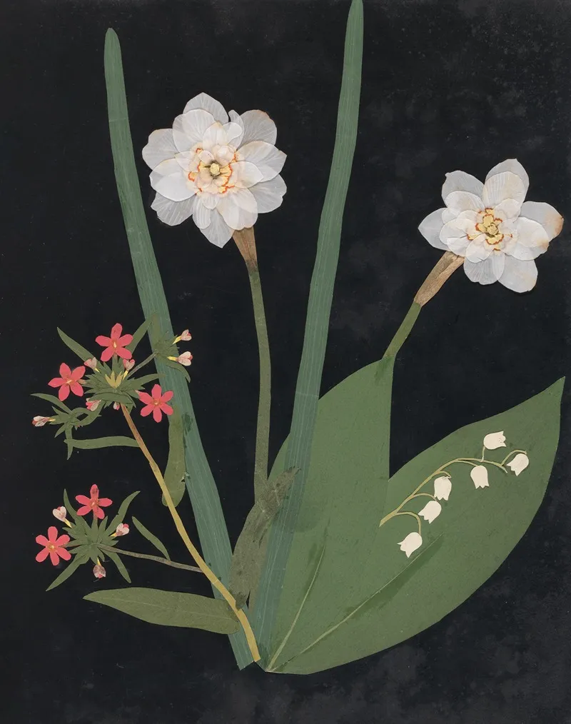 Album Of Cut Paper Flowers Pl 18 Wall Art by Ellen W. - High-Resolution Digital Print