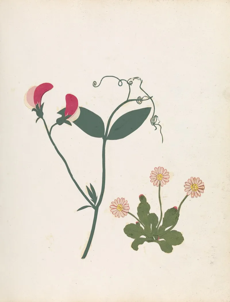 Album Of Cut Paper Flowers Pl 23 Wall Art by Ellen W. - High-Resolution Digital Print