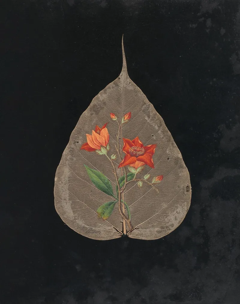Album Of Cut Paper Flowers Pl 24 Wall Art by Ellen W. - High-Resolution Digital Print