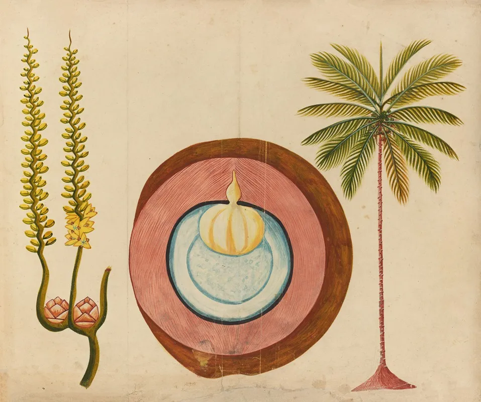 Album Of Watercolors Of Asian Fruits And Flowers Pl 04 Wall Art by Anonymous - High-Resolution Digital Print