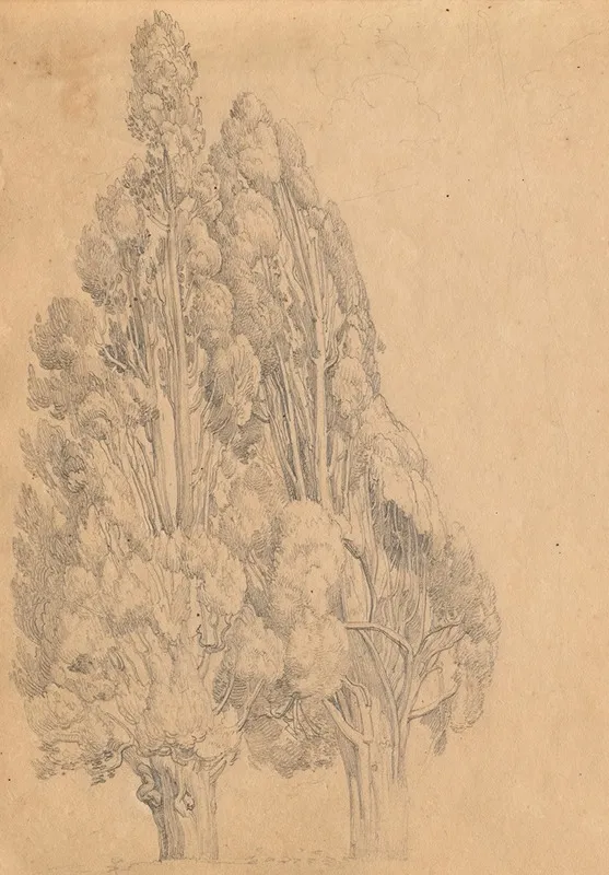 Album With Views Of Rome And Surroundings Landscape Studies Page 13a Trees