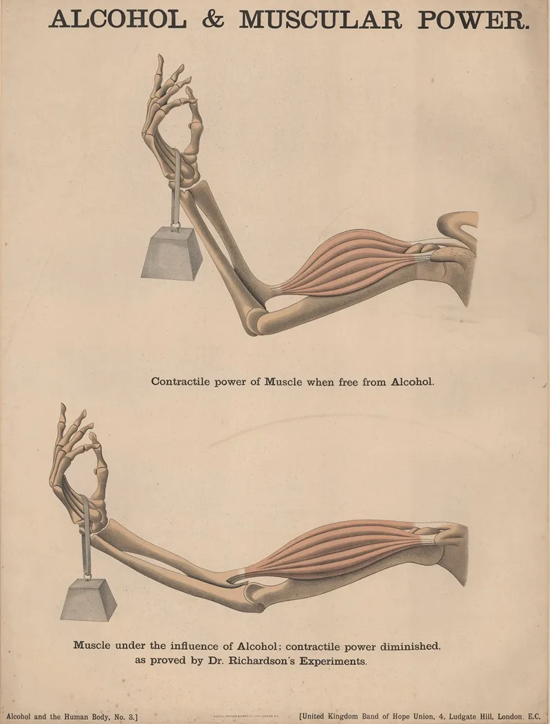 Alcohol And Muscular Power Wall Art by Charles Wakely - High-Resolution Digital Print