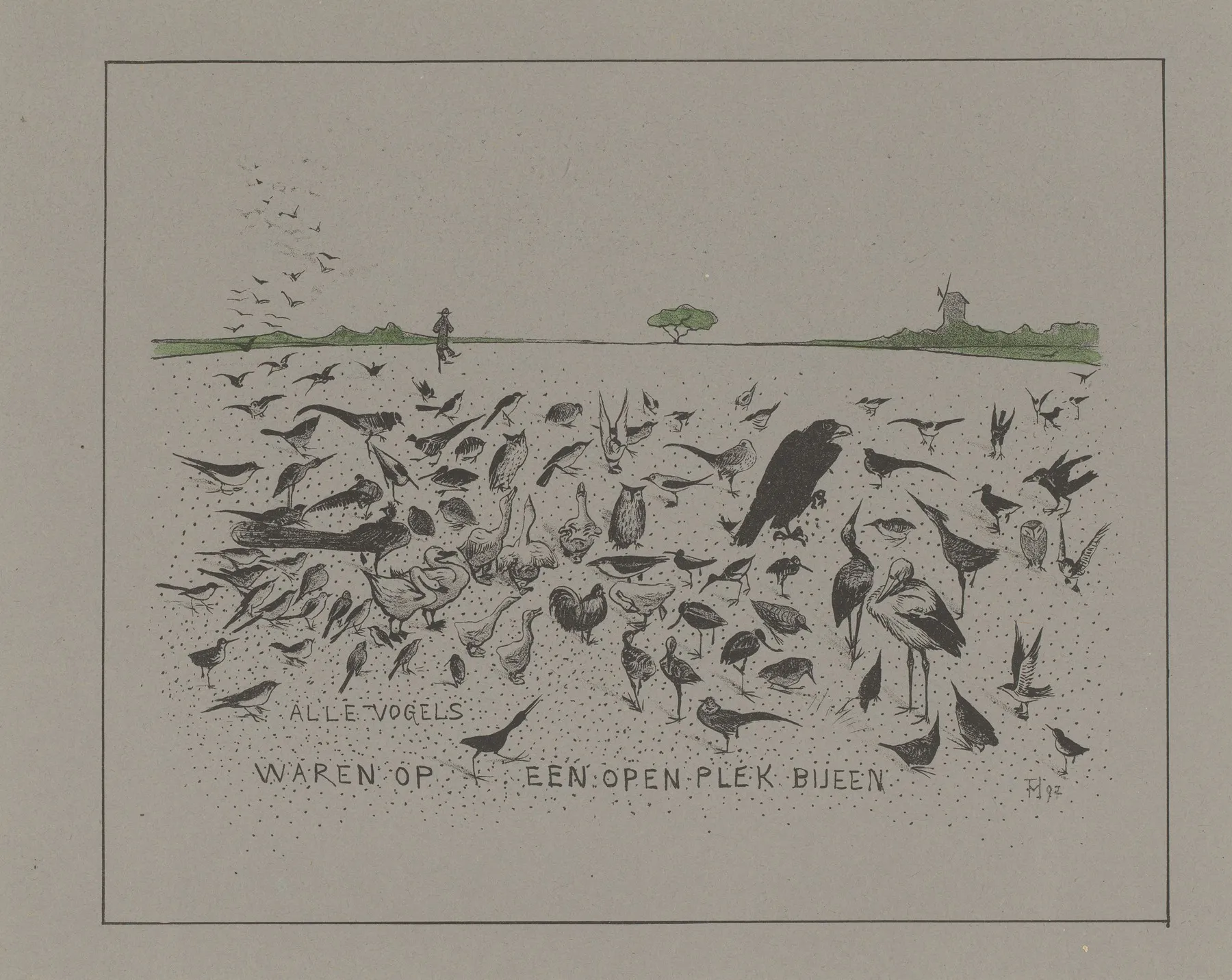 Alle Vogels Waren Op Een Open Plek Bijeen