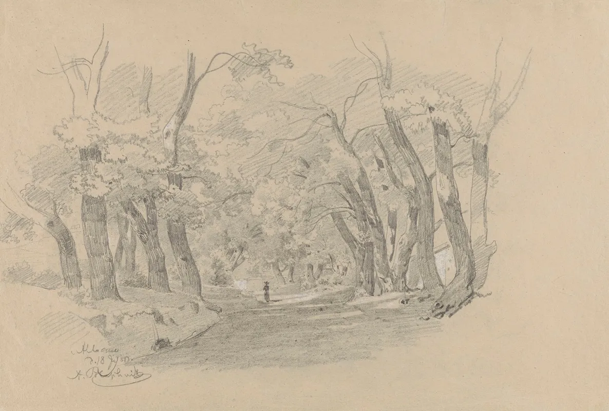 Alley Of Trees In Albano