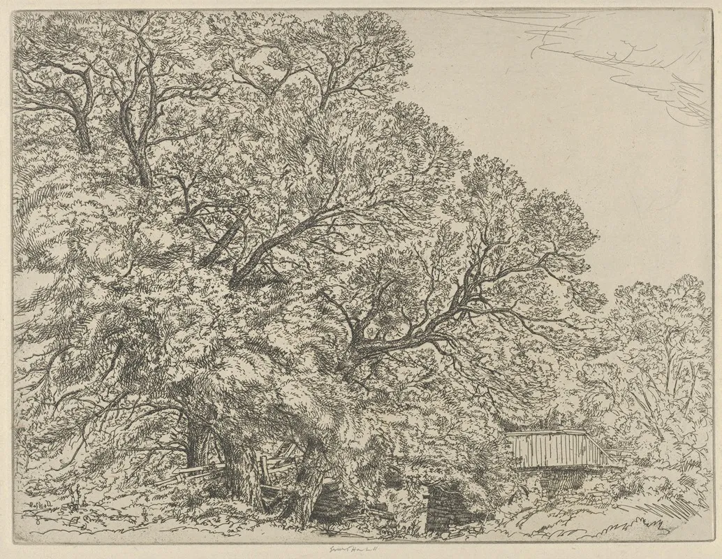 Alna Willows