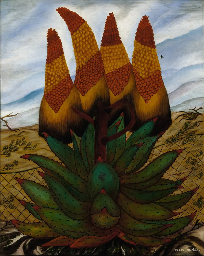 Aloes Wall Art by Josephine Joy - High-Resolution Digital Print