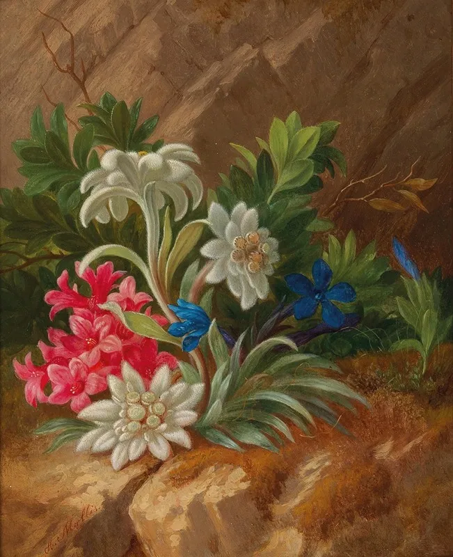 Alpenblumen 5 Wall Art by Anton Mollis - High-Resolution Digital Print