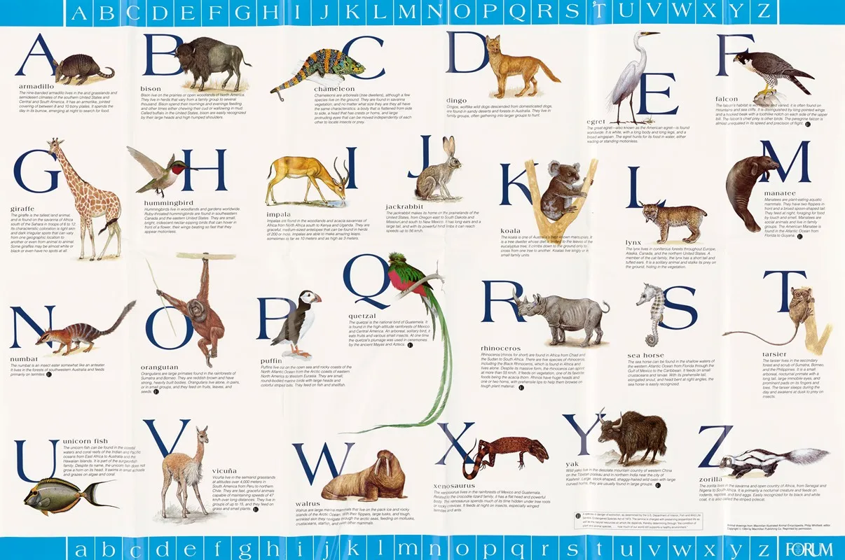 Alphabet Animals Chart