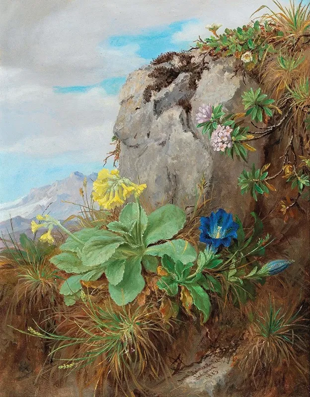 Alpine Flowers 2 Wall Art by Anna Stainer-Knittel - High-Resolution Digital Print