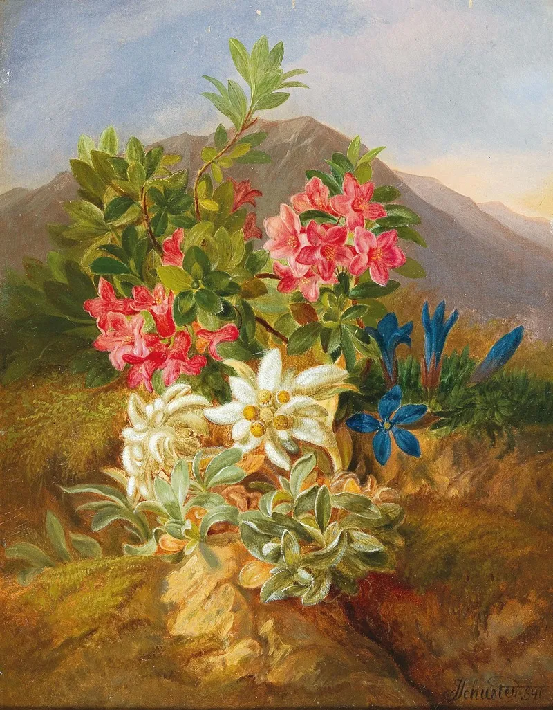 Alpine Flowers 4 Wall Art by Josef Schuster - High-Resolution Digital Print