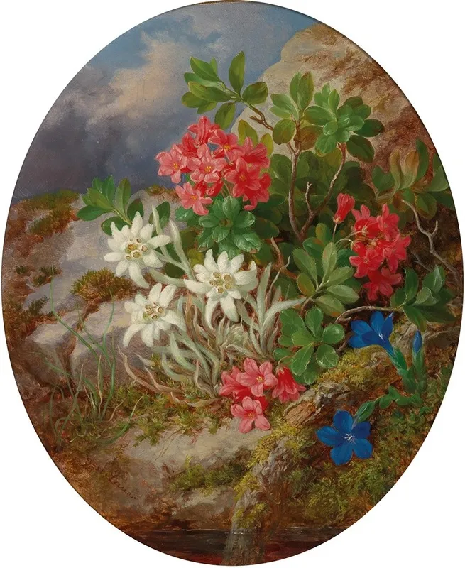 Alpine Flowers 5 Wall Art by Josef Lauer - High-Resolution Digital Print