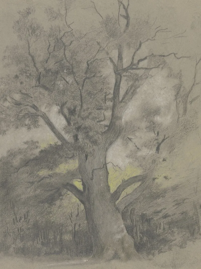 Alte Eiche In Einer Waldlichtung Wall Art by Hermann Gollner - High-Resolution Digital Print