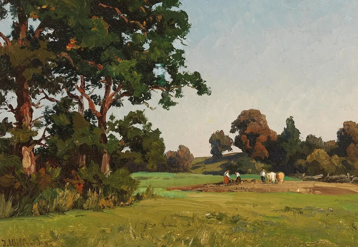 Am Feld