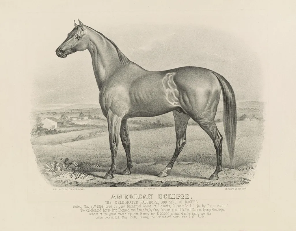 American Eclipse The Celebrated Racehorse And Sire Of Racers Wall Art by John Cameron - High-Resolution Digital Print