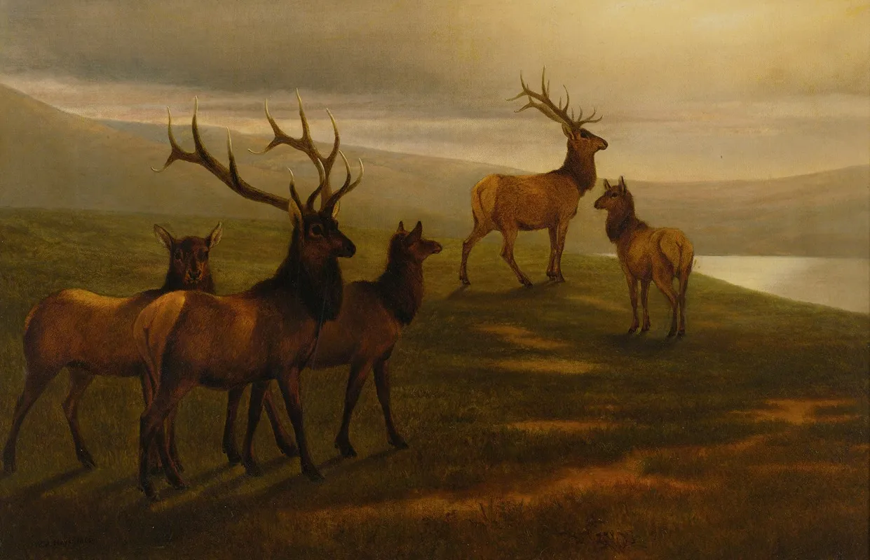American Elk Wall Art by William Jacob Hays Sr. - High-Resolution Digital Print