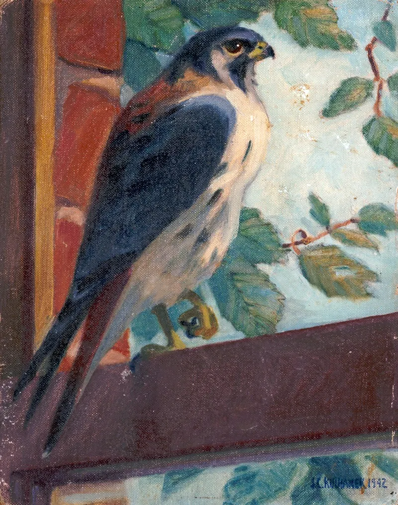 American Kestrel Wall Art by James C. Kulhanek - High-Resolution Digital Print