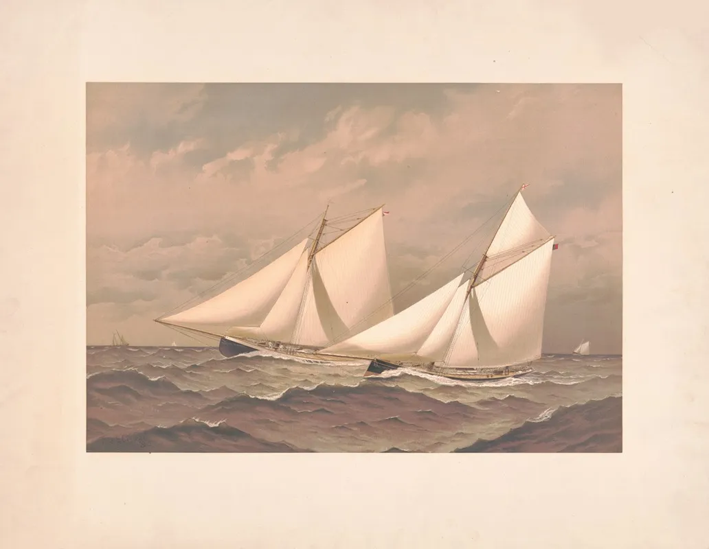 American Yachts Extra Plate For The Americas Cup 1885 Near The Finish Purtian Genesta