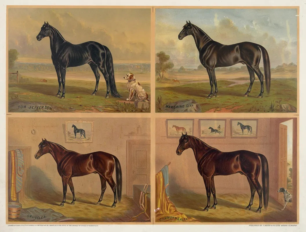 Americas Renowned Stallions Wall Art by J. Mayer &amp; Co. - High-Resolution Digital Print