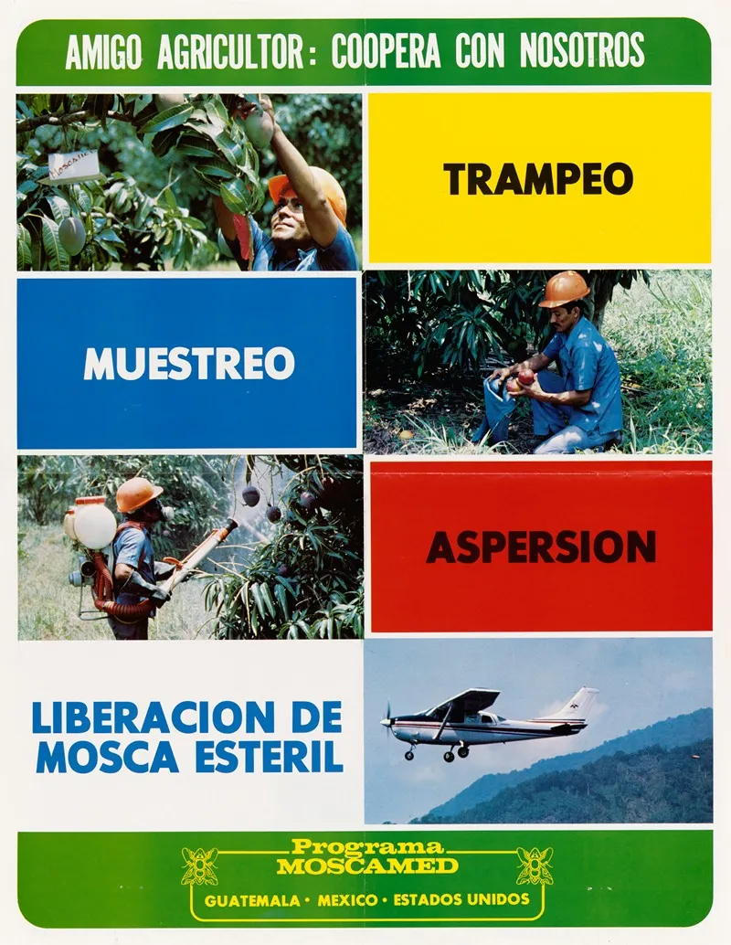 Amigo Agricultor Coopera Con Nosotros Trampeo Muestreo Aspersion Liberacion De Mosca Esteril