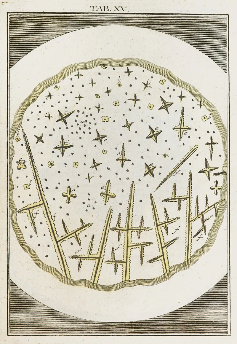 Amusement Microscopique Tant Pour Lesprit Que Pour Les Yeux Pl 016 Wall Art by Martin Frobenius Ledermüller - High-Resolution Digital Print