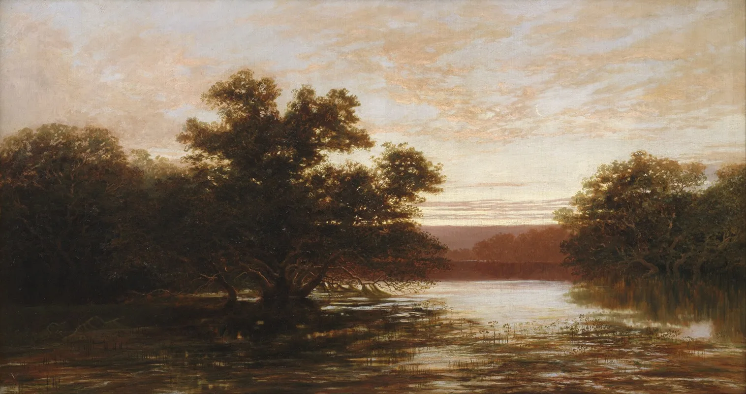 An Australian Mangrove Ebb Tide