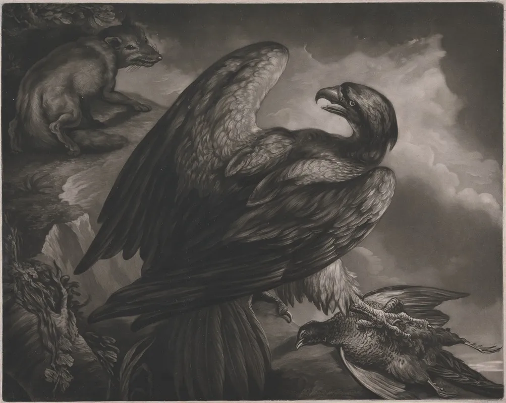 An Eagle With A Dead Pheasant Watched By A Fox