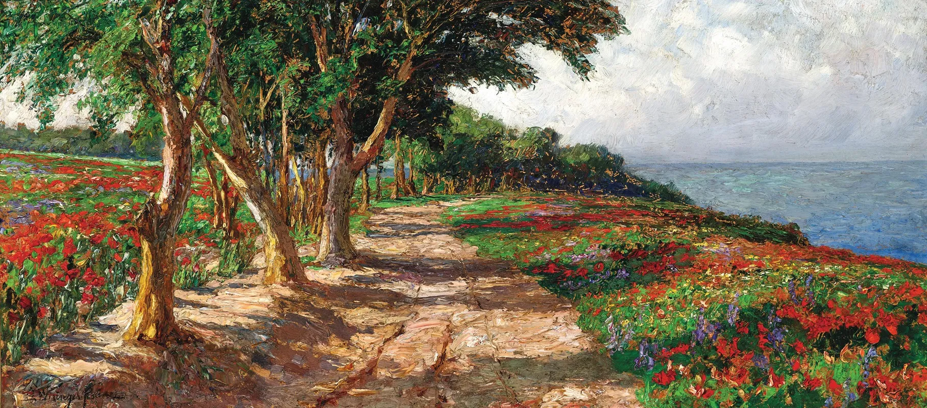 An Elm Lined Promenade In Euxinograd