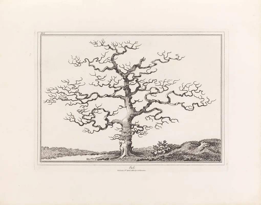 An Essay On Trees In Landscape Wall Art by E. Kennion - High-Resolution Digital Print